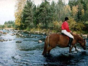 Фото номера Дом для отпуска Дома для отпуска Holiday Home Niemenkärki г. Kortteinen 9